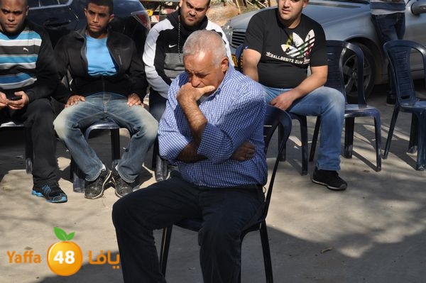 rayetsol7s310 (33).JPG